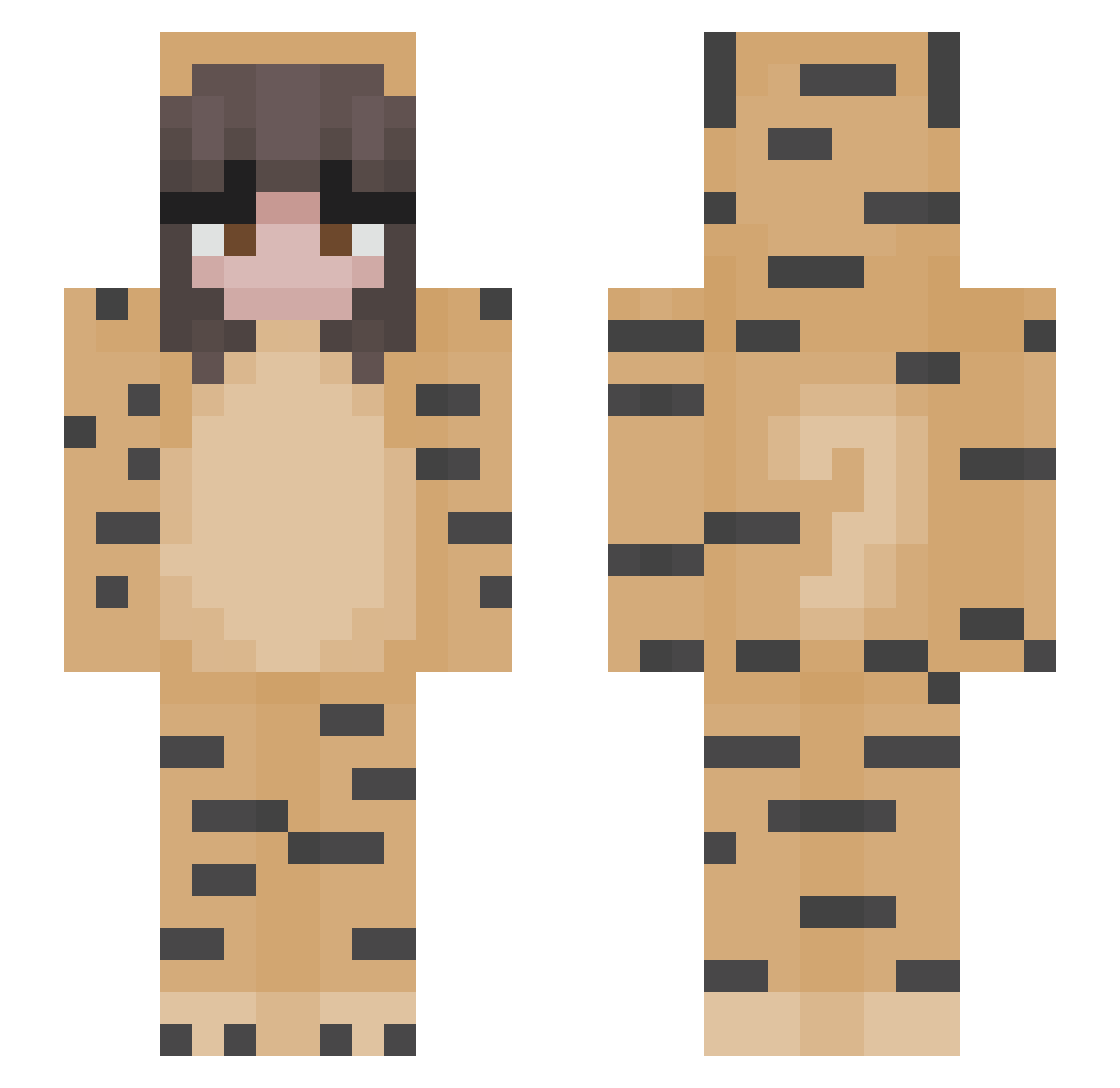 direngay Minecraft skin, front and back view