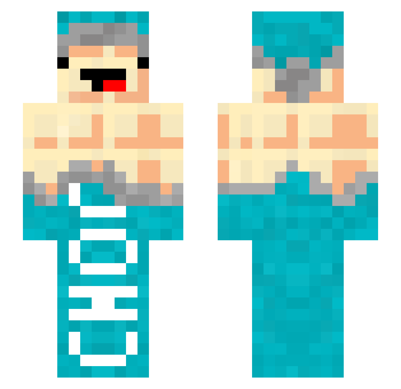 FlipPro4 Minecraft skin, front and back view