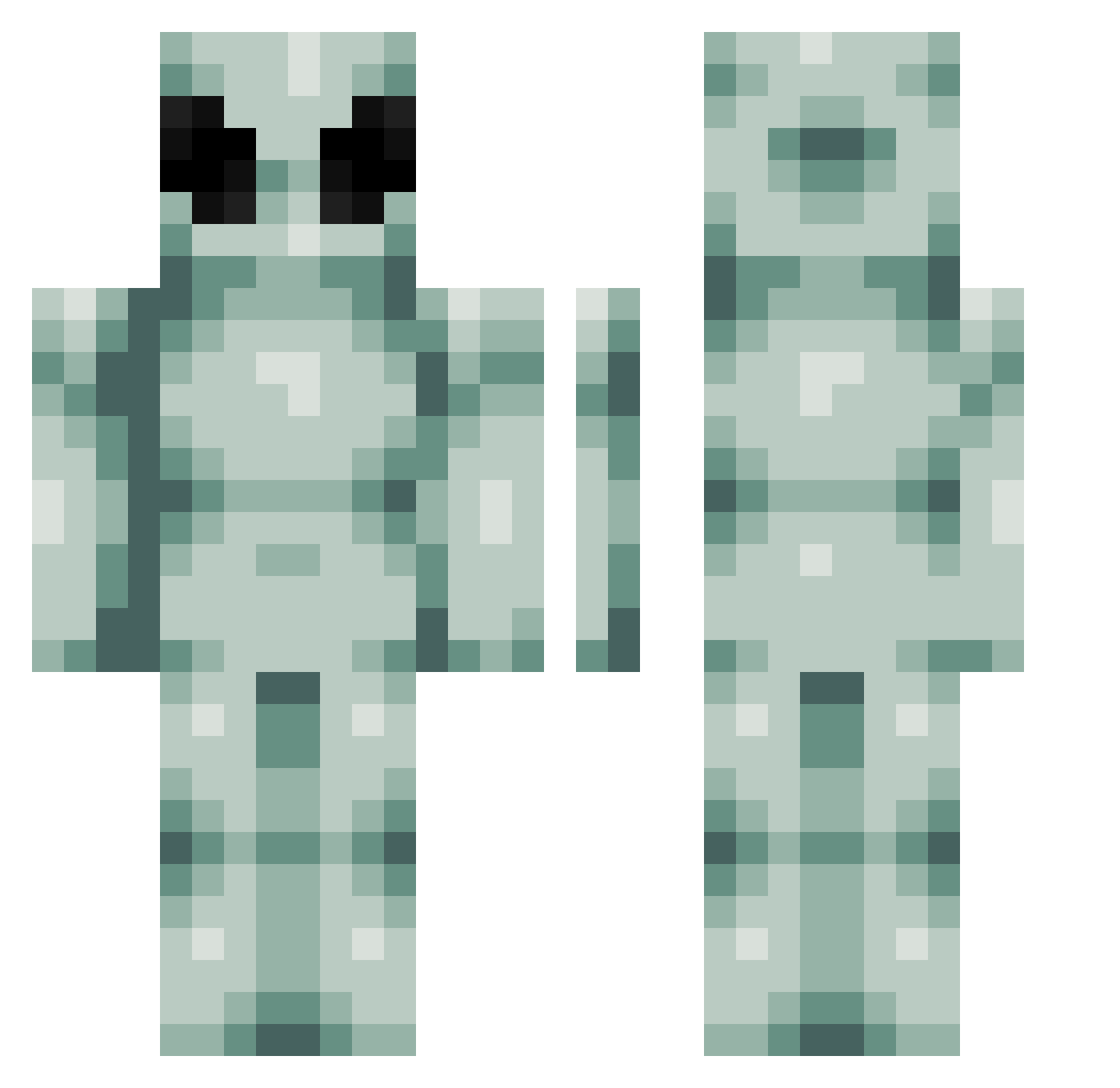squirtens Minecraft skin, front and back view