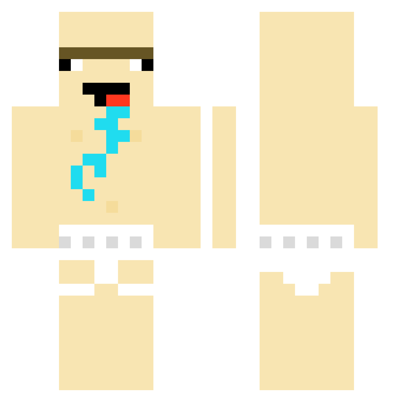 X_l_1 Minecraft skin, front and back view