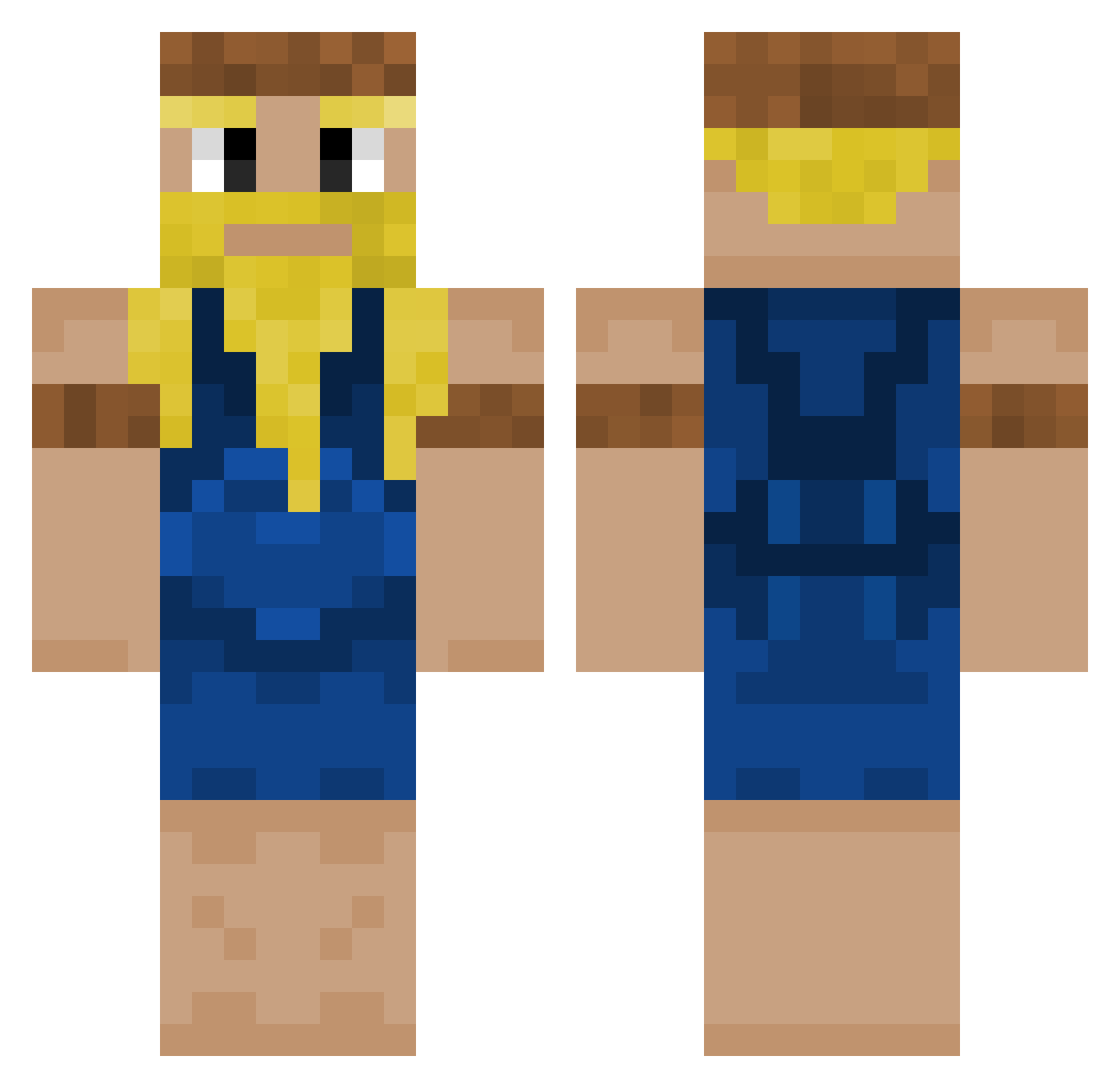 Petyaa6666 Minecraft skin, front and back view