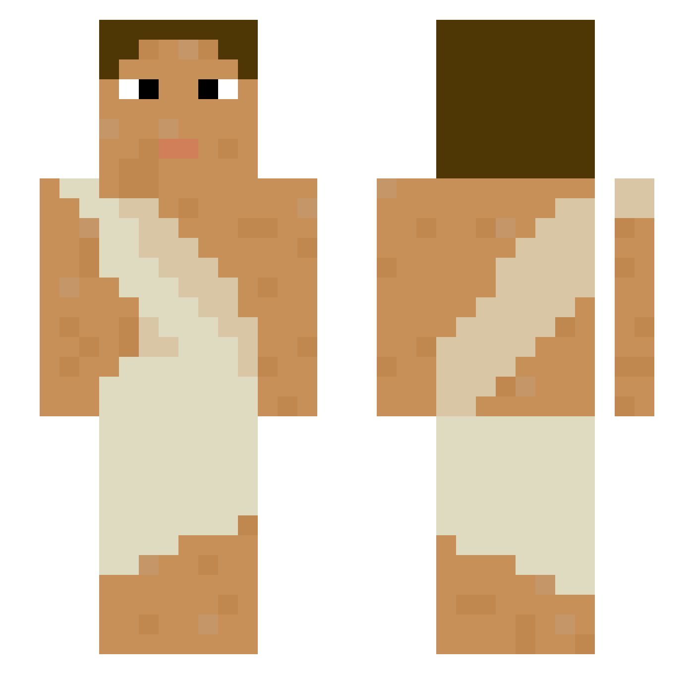 Wildcat3620 Minecraft skin, front and back view