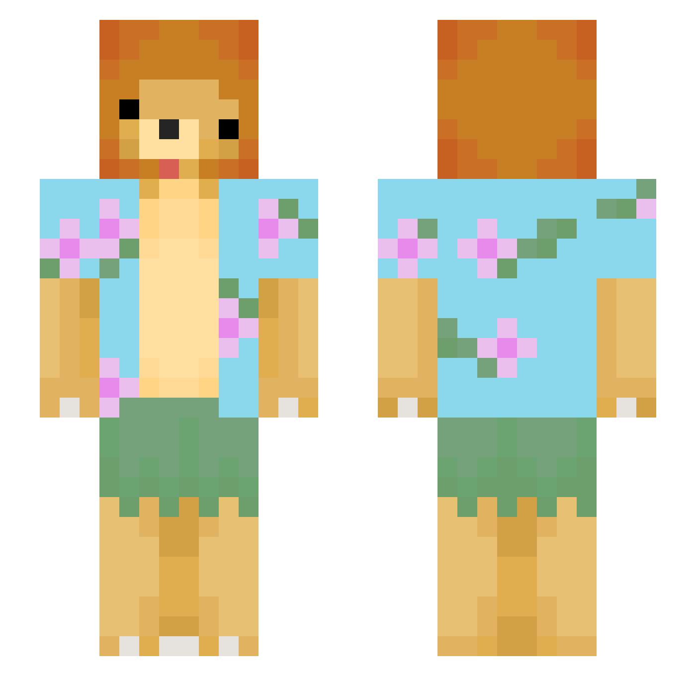 lionism Minecraft skin, front and back view
