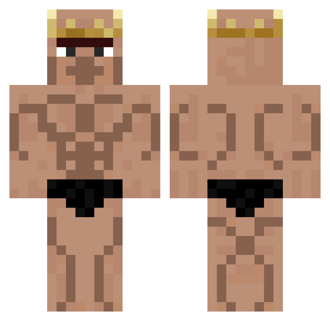 Pivora Minecraft skin, front and back view