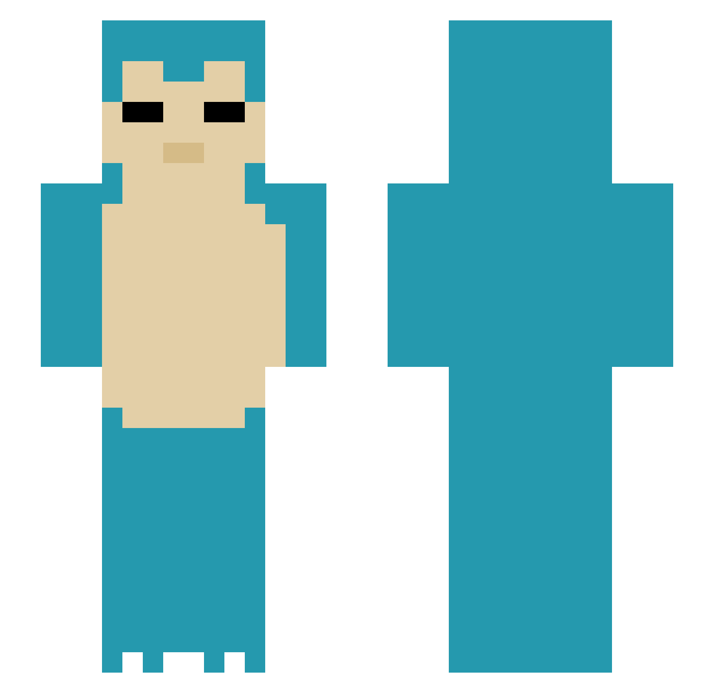ScheveKapitein Minecraft skin, front and back view