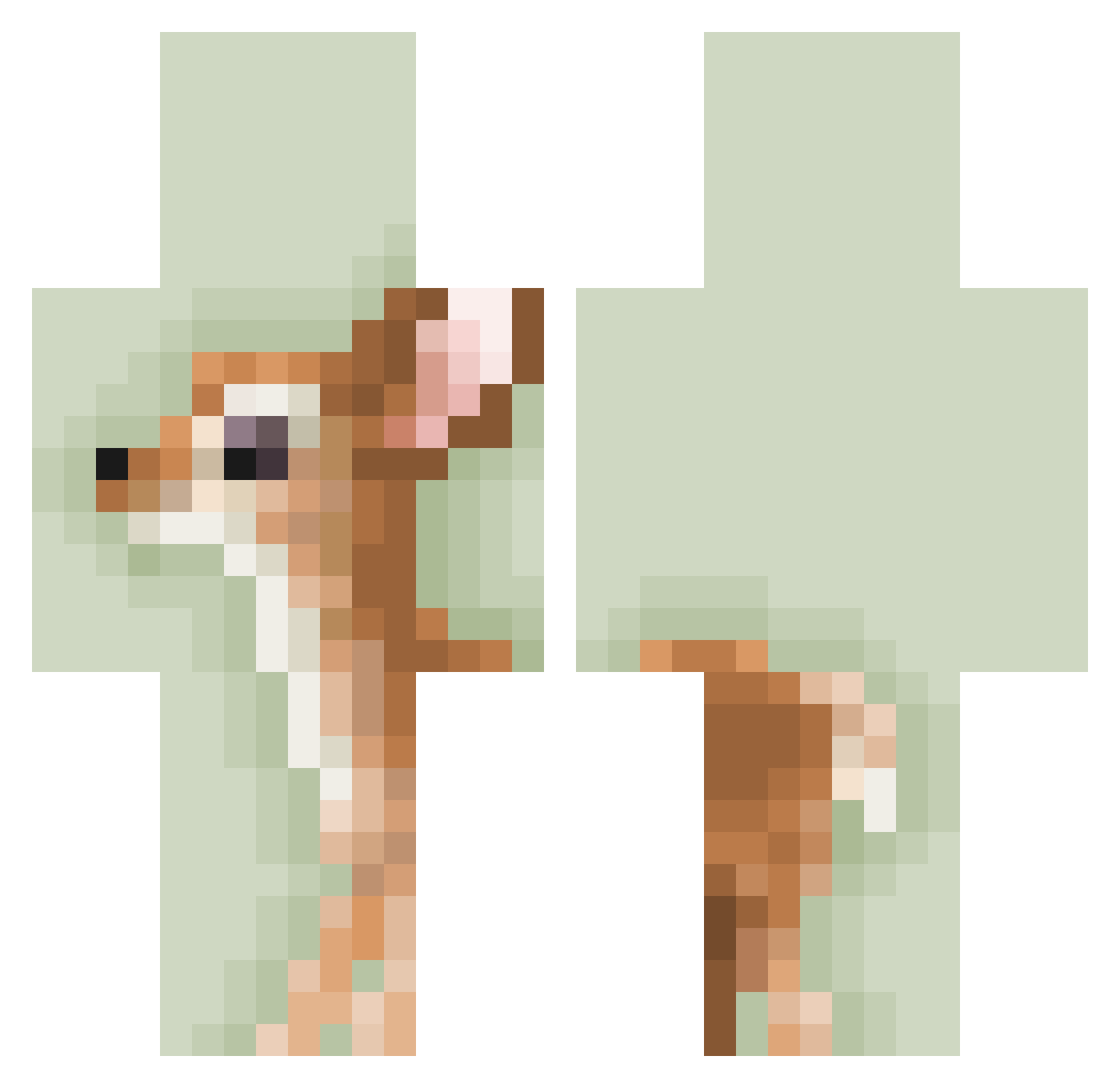 lemanek Minecraft skin, front and back view