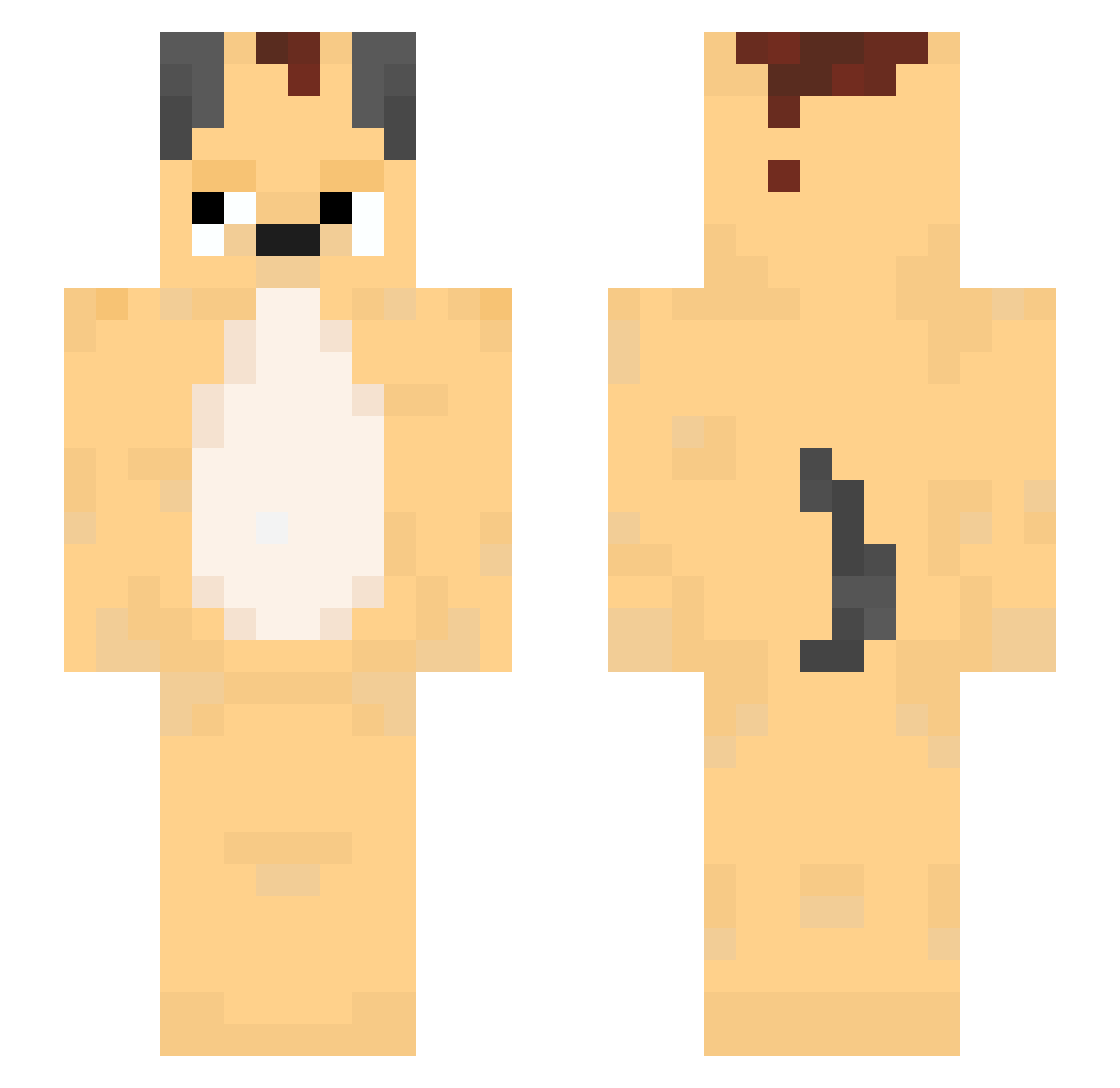 shabishbu Minecraft skin, front and back view