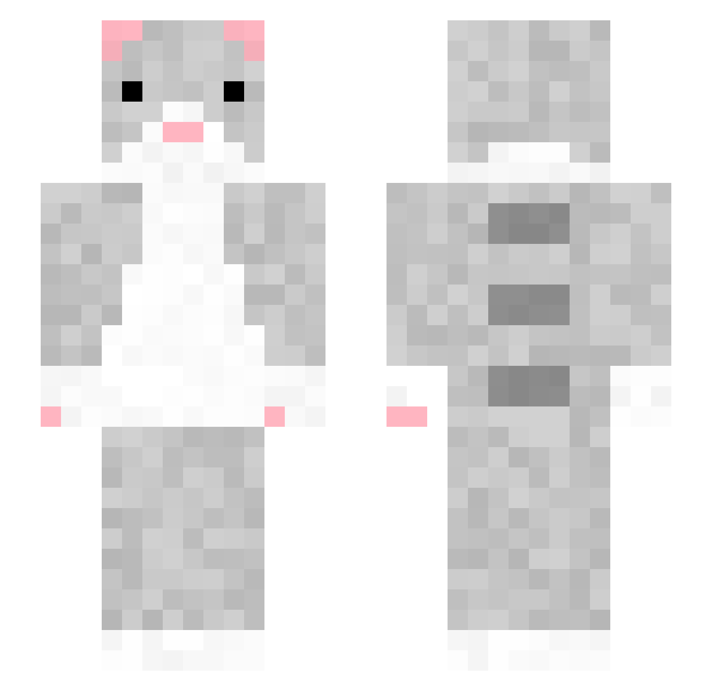 Z44R Minecraft skin, front and back view