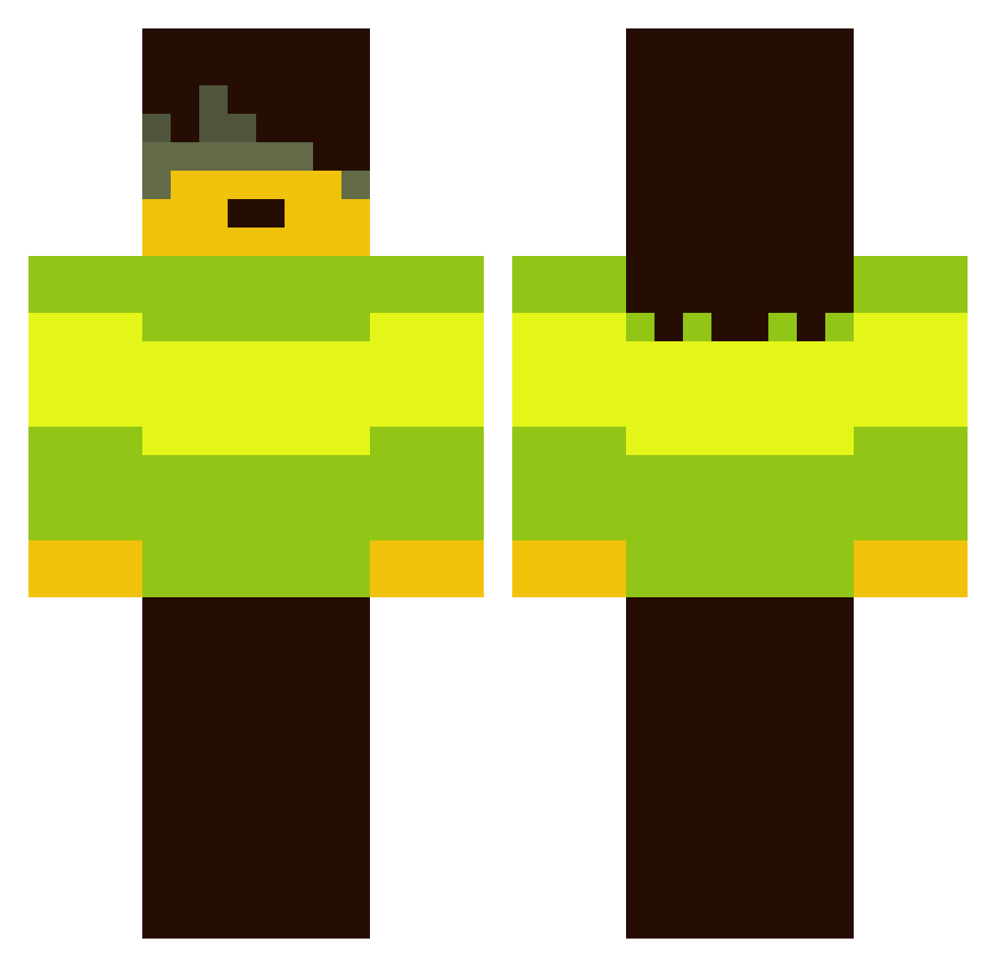 d1vad69 Minecraft skin, front and back view