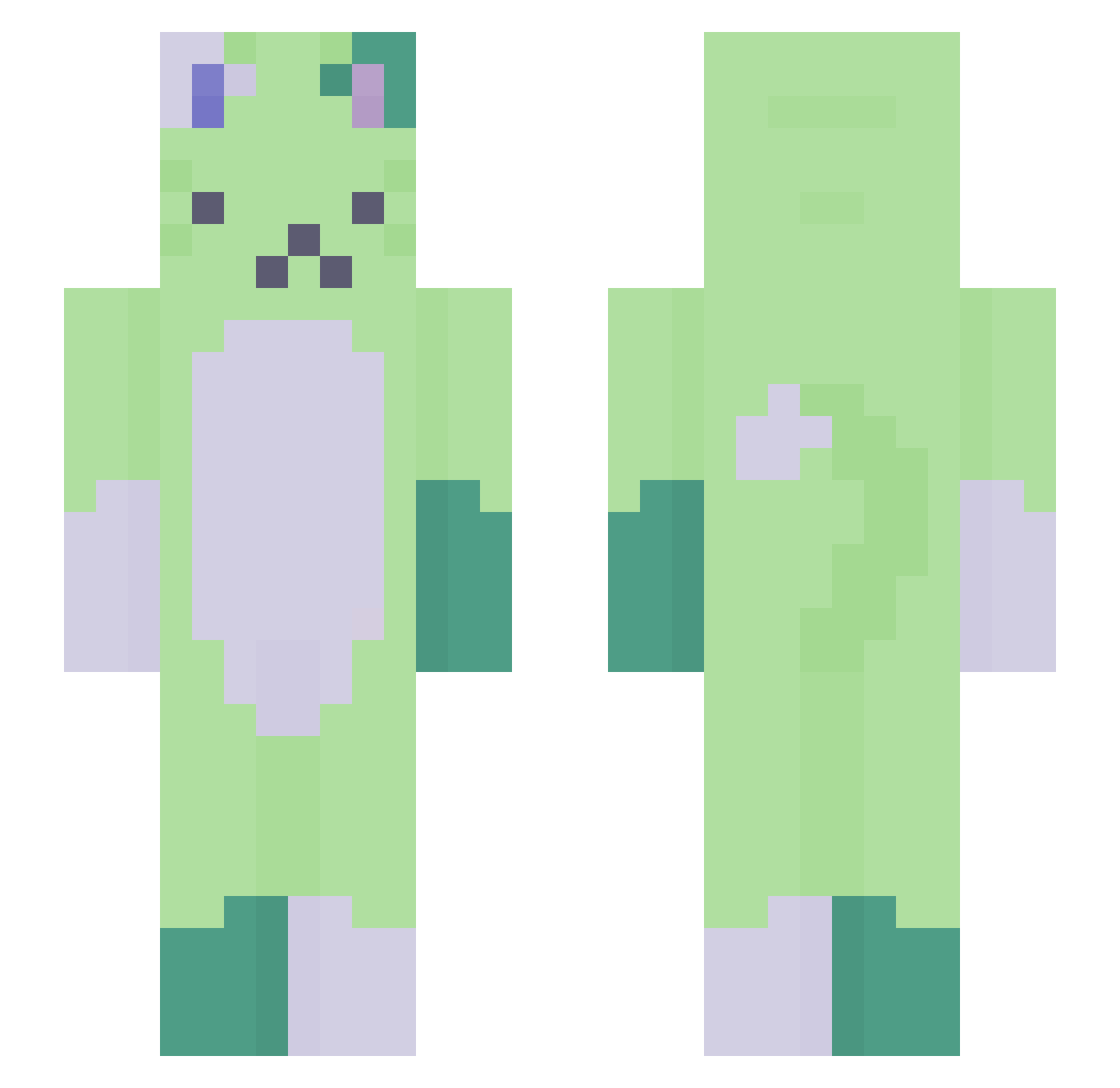 ZY5_ Minecraft skin, front and back view