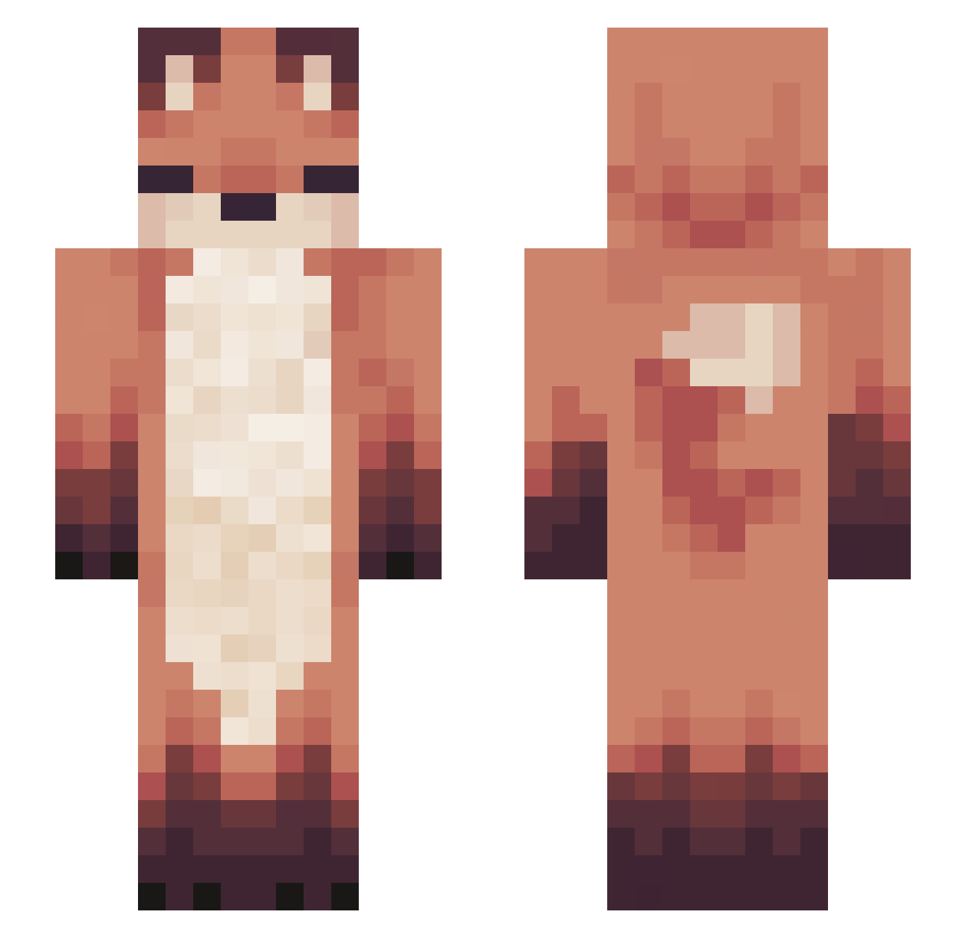 Satoryc Minecraft skin, front and back view
