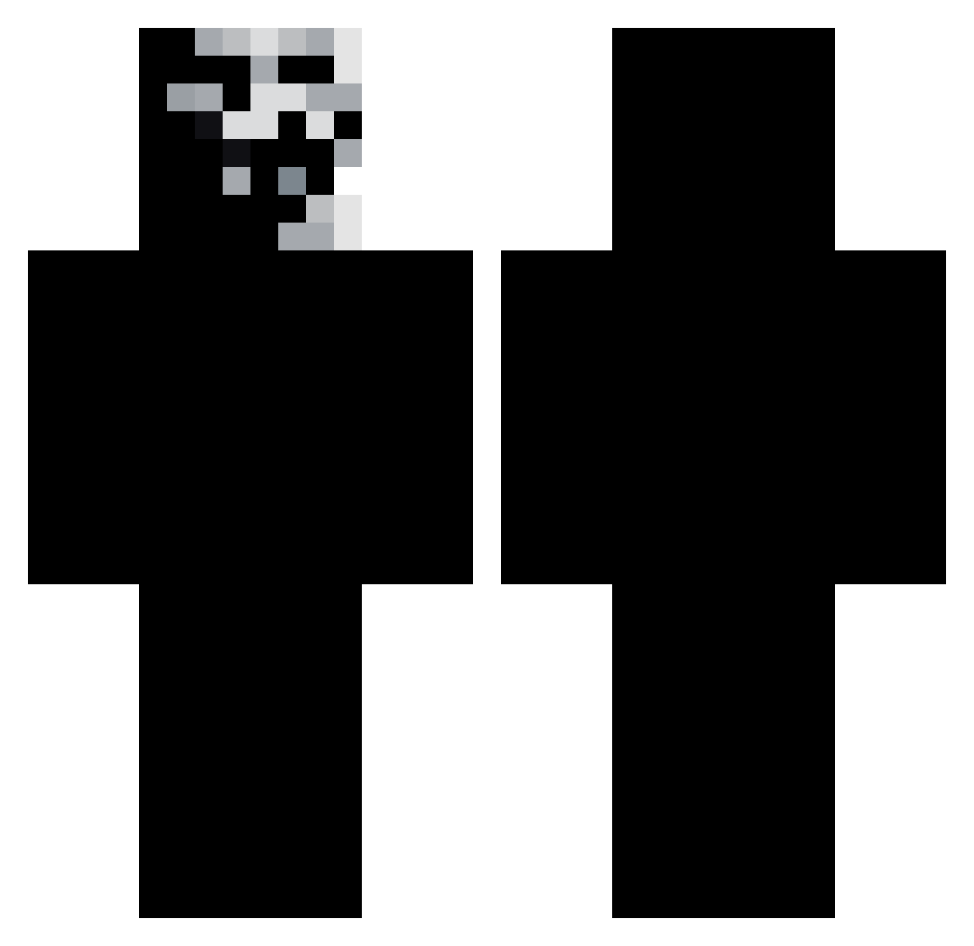 zs2w Minecraft skin, front and back view