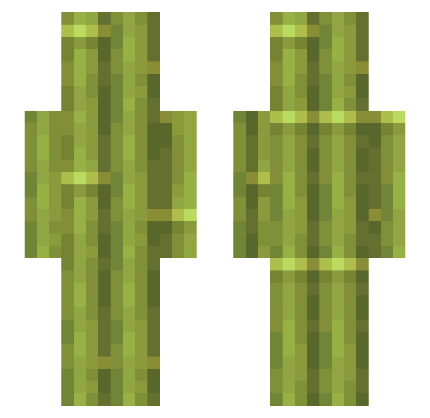 cobatary Minecraft skin, front and back view