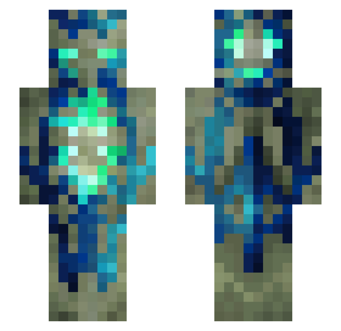 Detrivkatt Minecraft skin, front and back view
