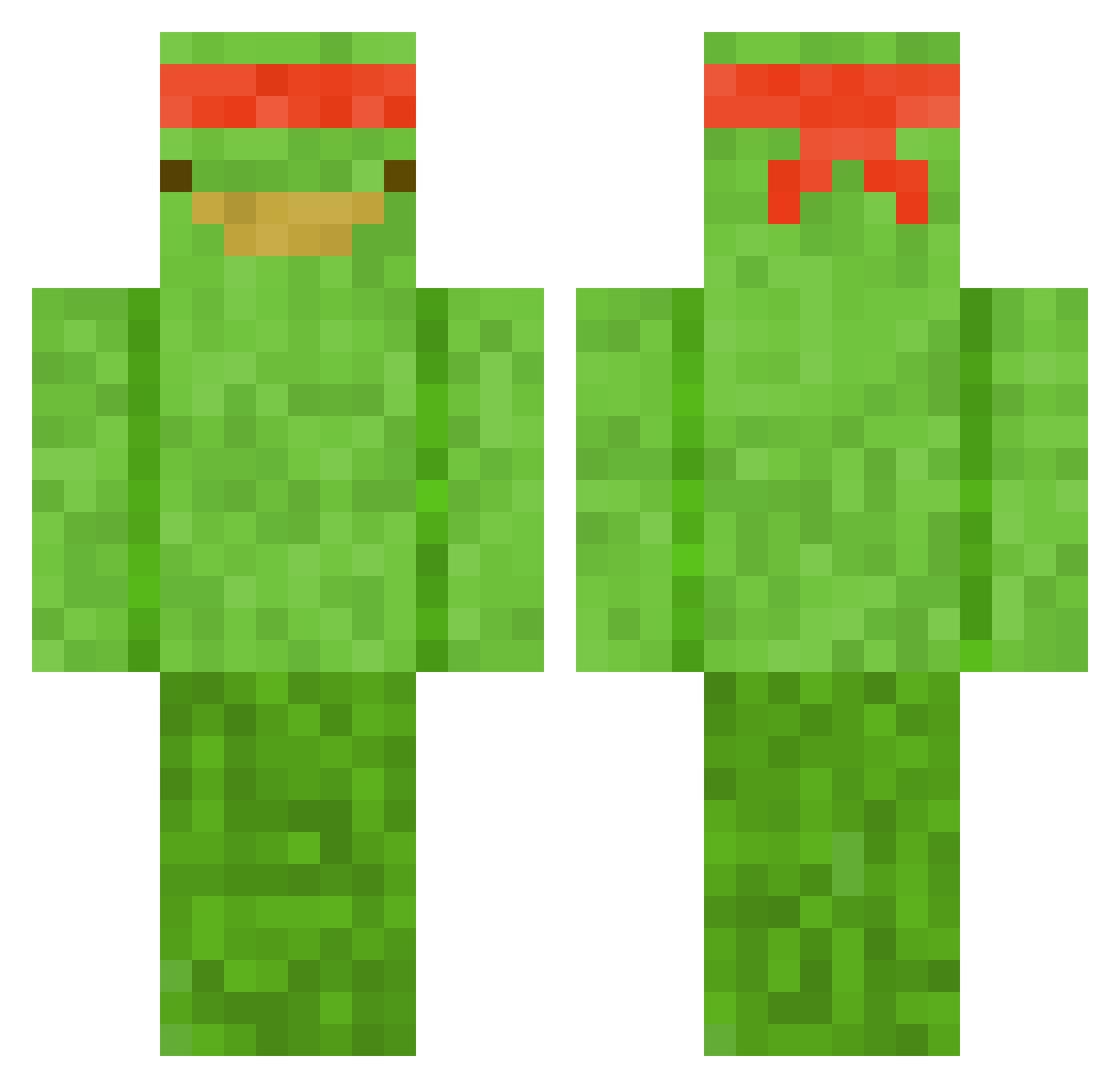 Roro5243 Minecraft skin, front and back view