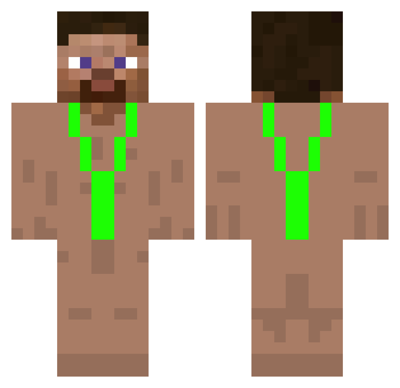 bisley Minecraft skin, front and back view