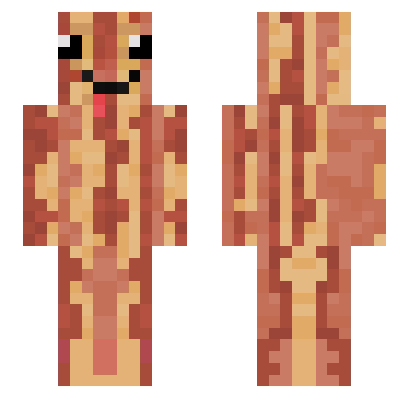 Blarkey Minecraft skin, front and back view