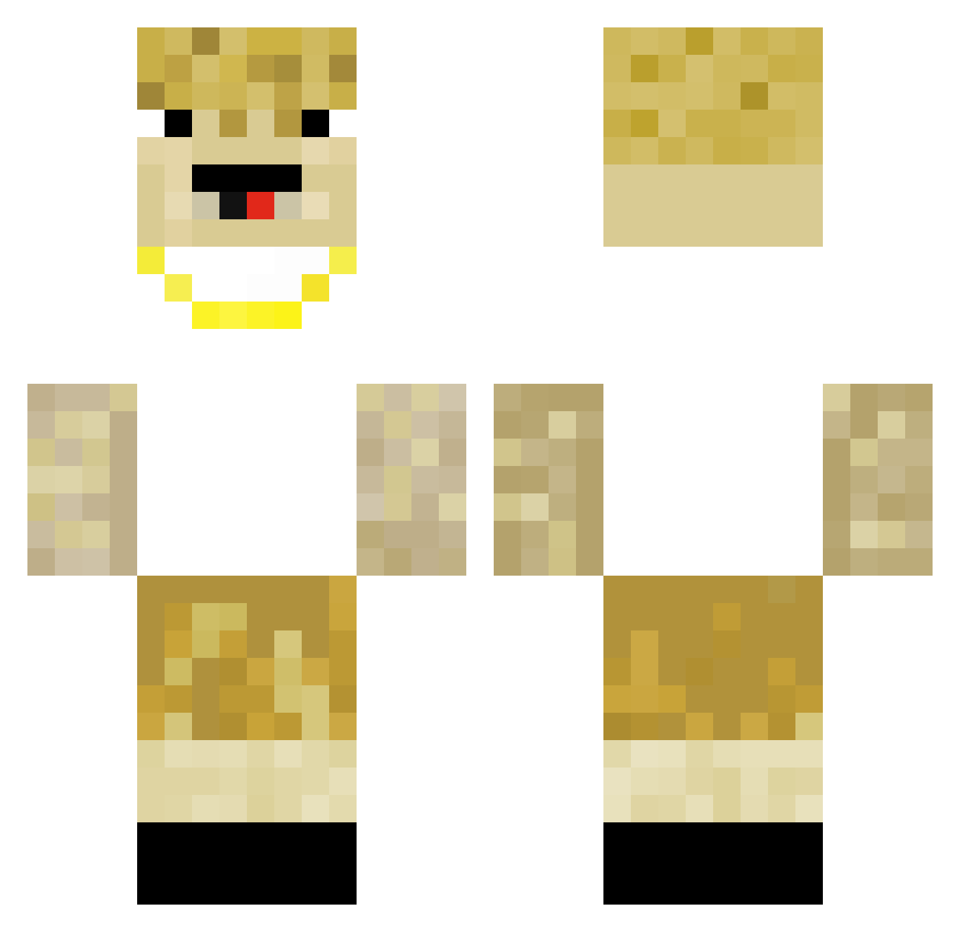 salmydog Minecraft skin, front and back view