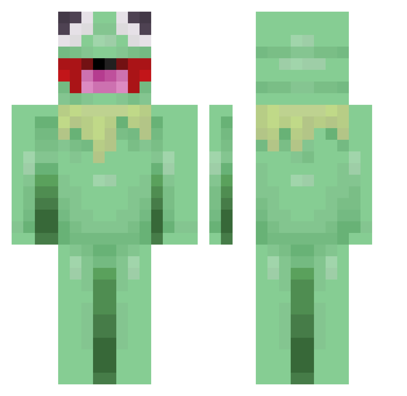 zydorrmoto Minecraft skin, front and back view
