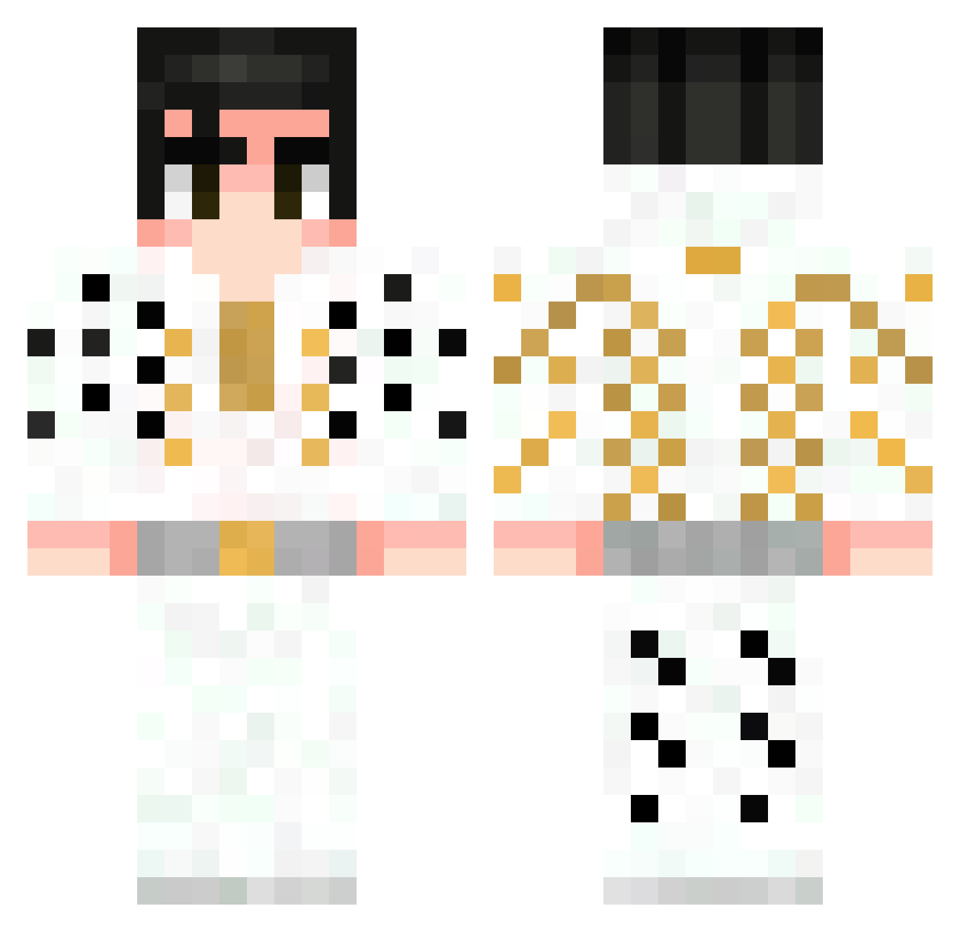 psschmp1 Minecraft skin, front and back view
