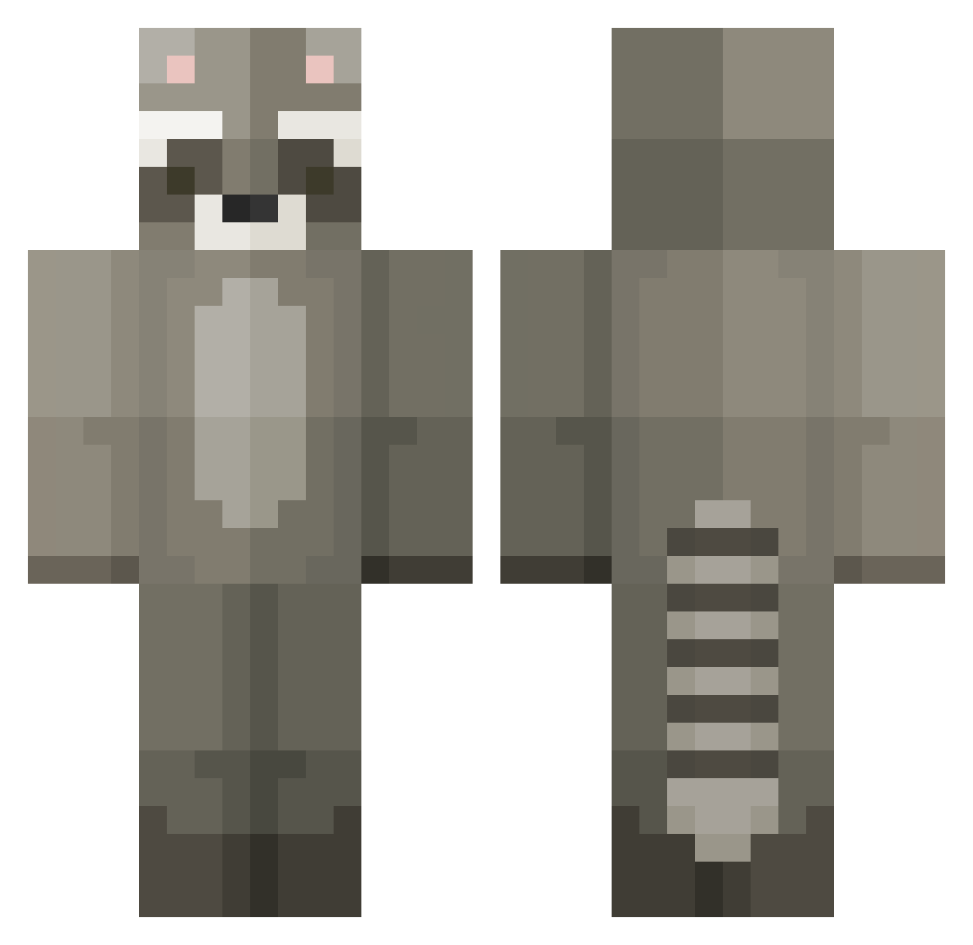 Downx Minecraft skin, front and back view