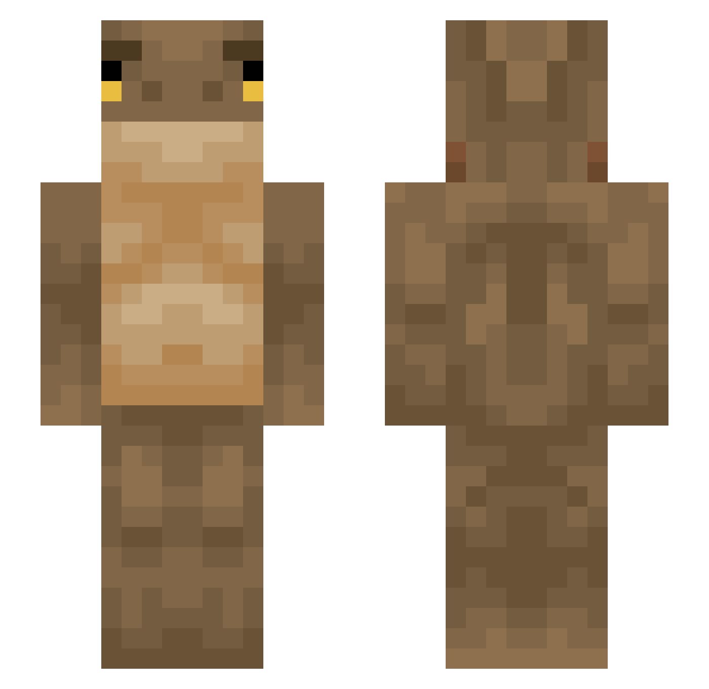 Soshi_456 Minecraft skin, front and back view