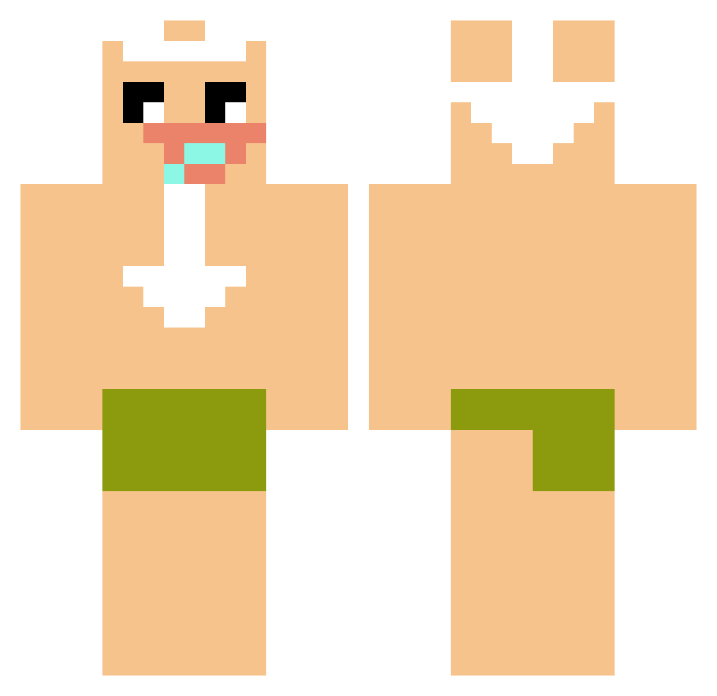 diudiuking3 Minecraft skin, front and back view
