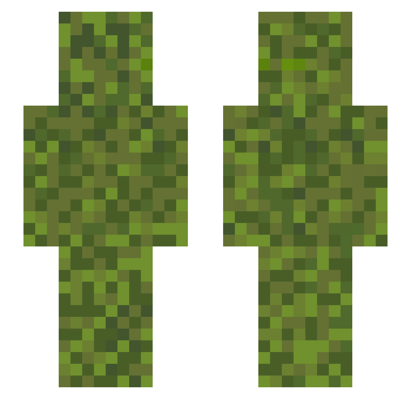 Musgoo Minecraft skin, front and back view