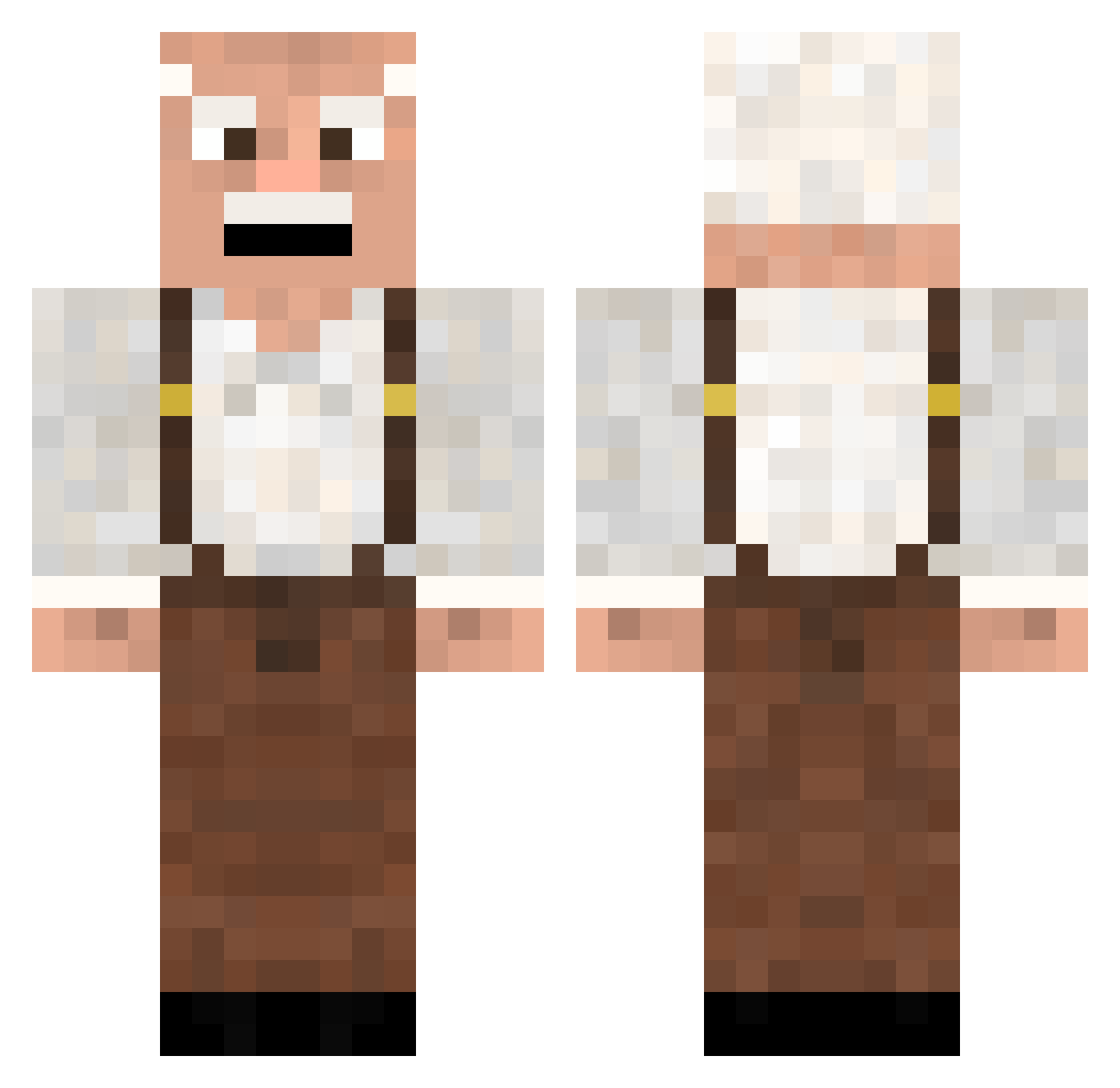 Democratizer Minecraft skin, front and back view