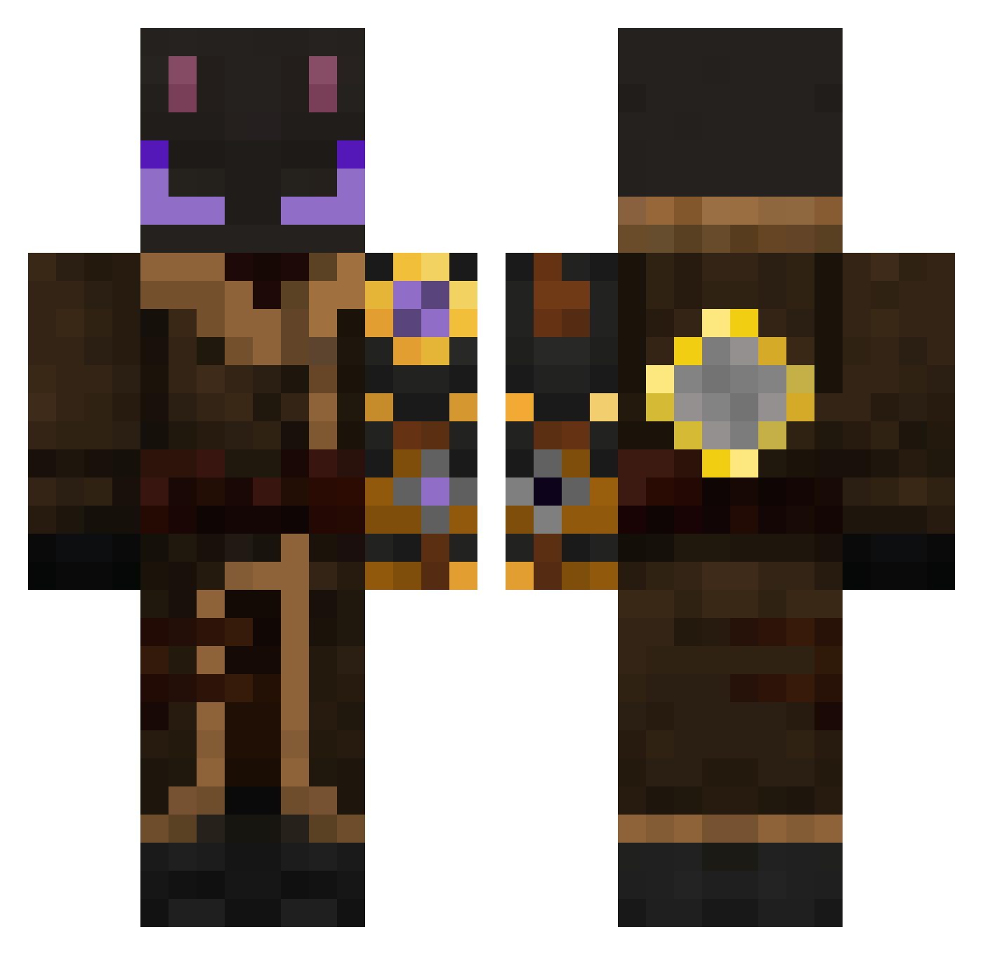 DVDyziek Minecraft skin, front and back view