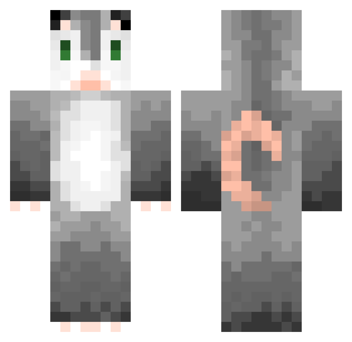 StrangePossum Minecraft skin, front and back view