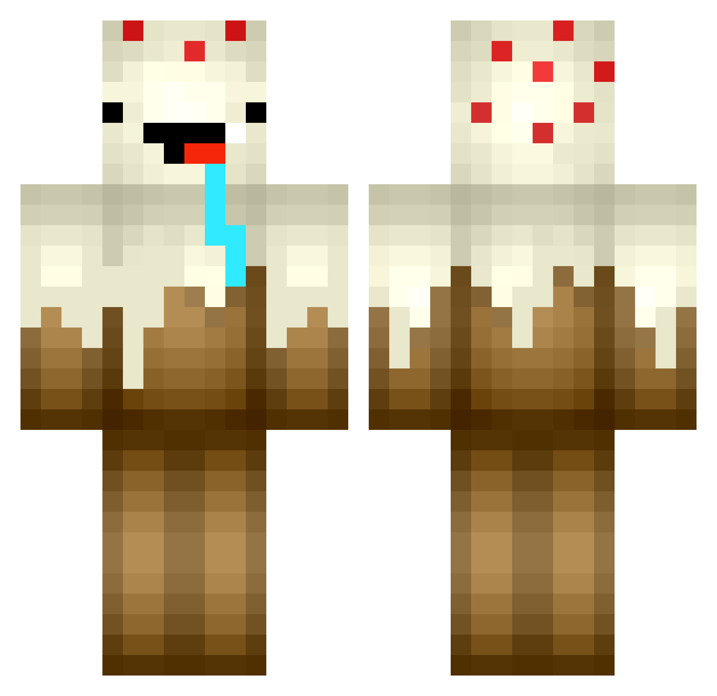 adamastor123 Minecraft skin, front and back view