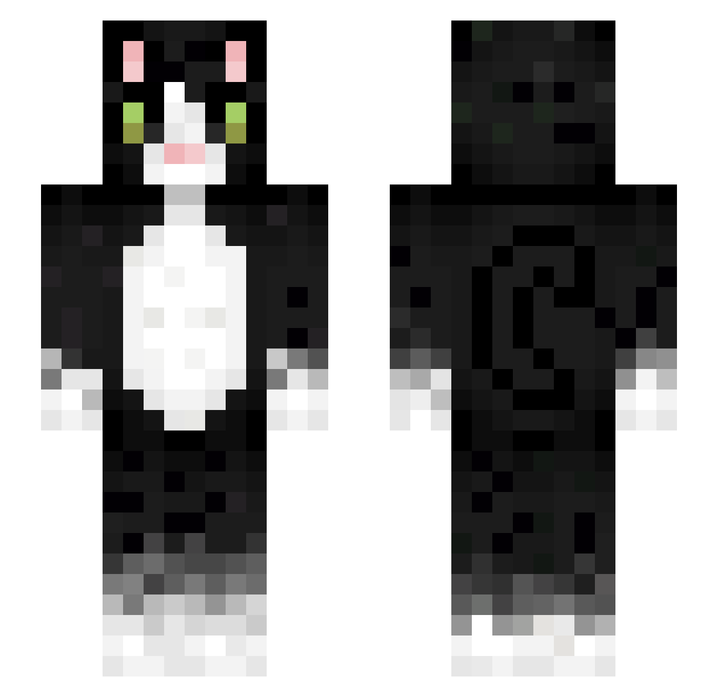 Reeptilia Minecraft skin, front and back view