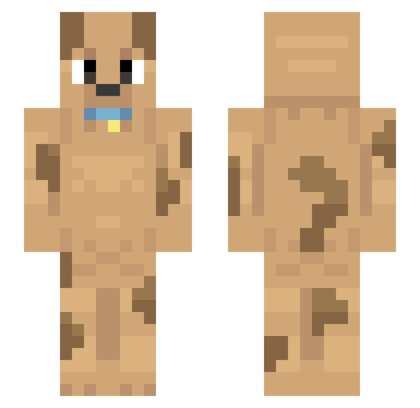 lifeisonlynew Minecraft skin, front and back view