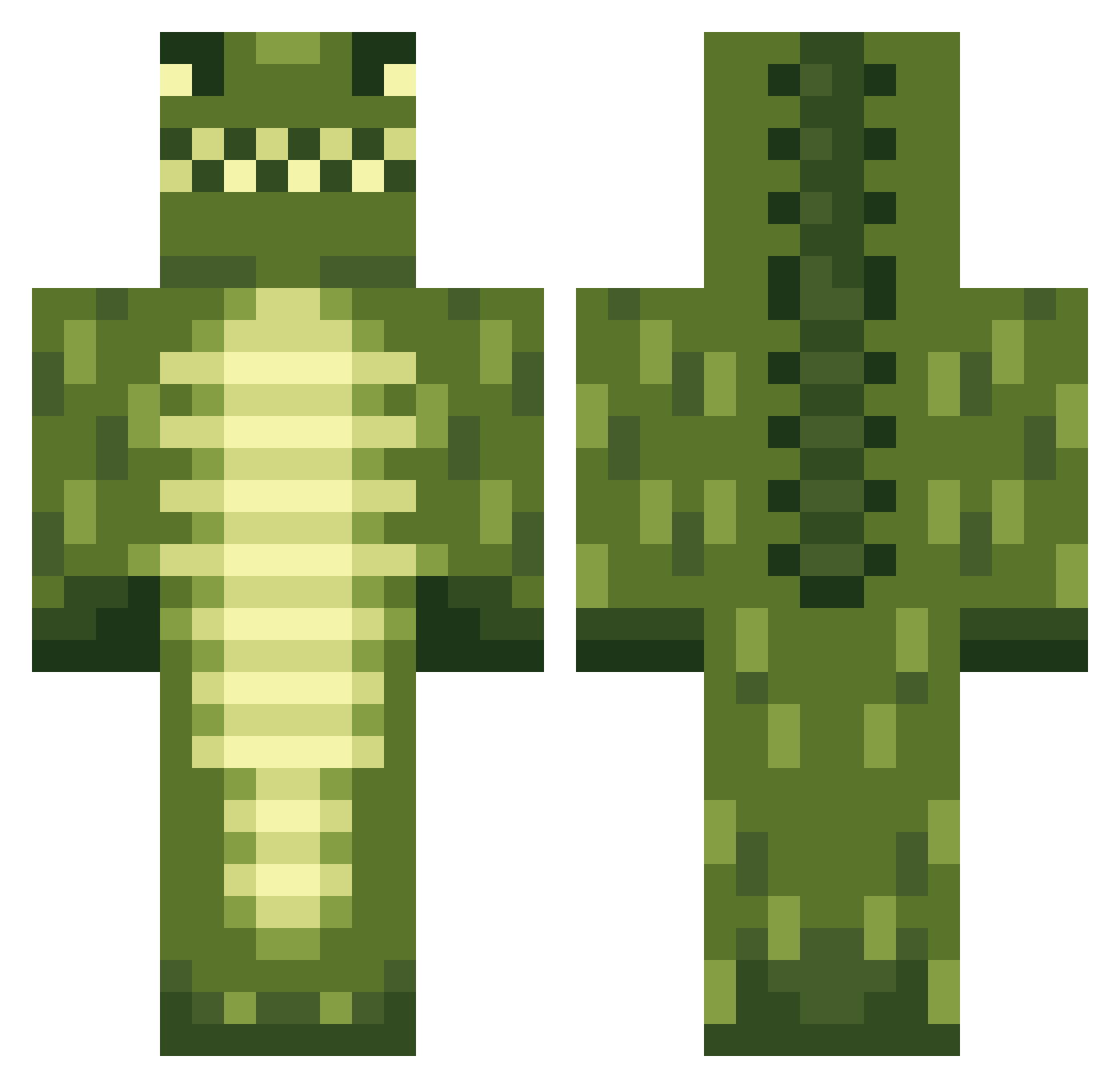 ARRRGGGGH Minecraft skin, front and back view