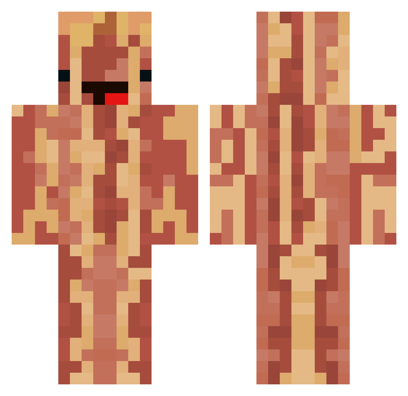 VulpineTurtle28 Minecraft skin, front and back view