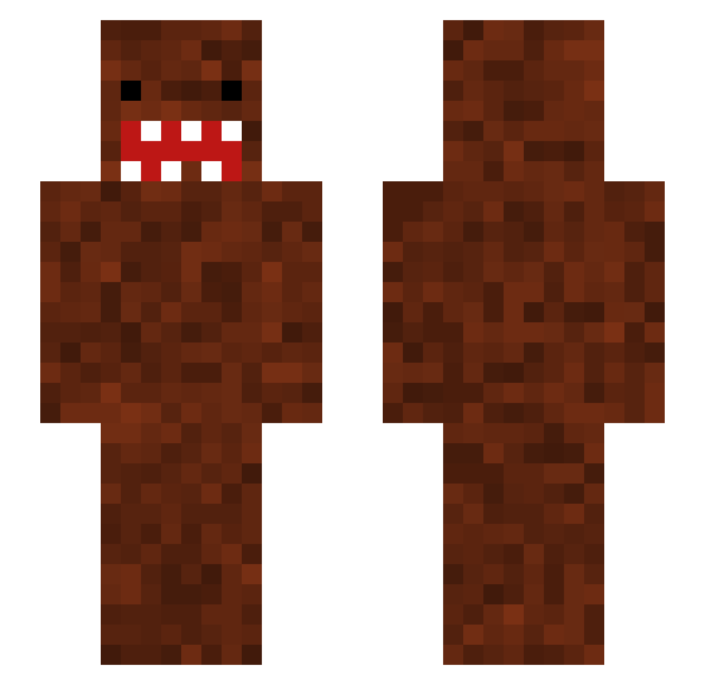 Domo_ Minecraft skin, front and back view