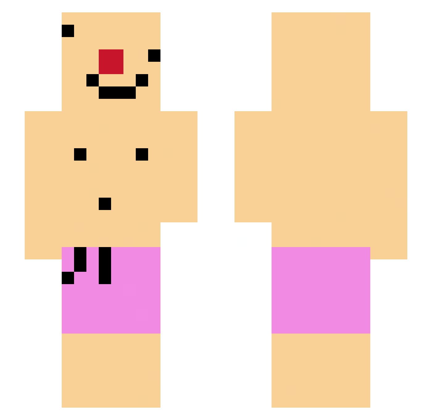 remppareiska_ Minecraft skin, front and back view