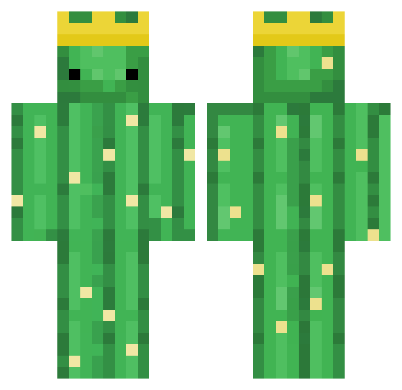 Meshunty Minecraft skin, front and back view