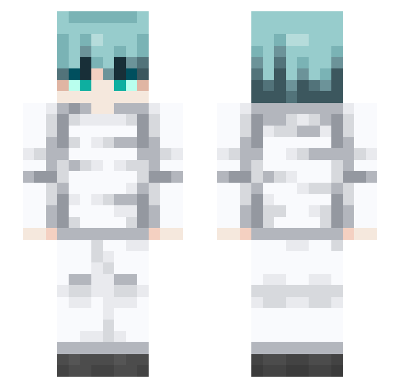 protovsn Minecraft skin, front and back view