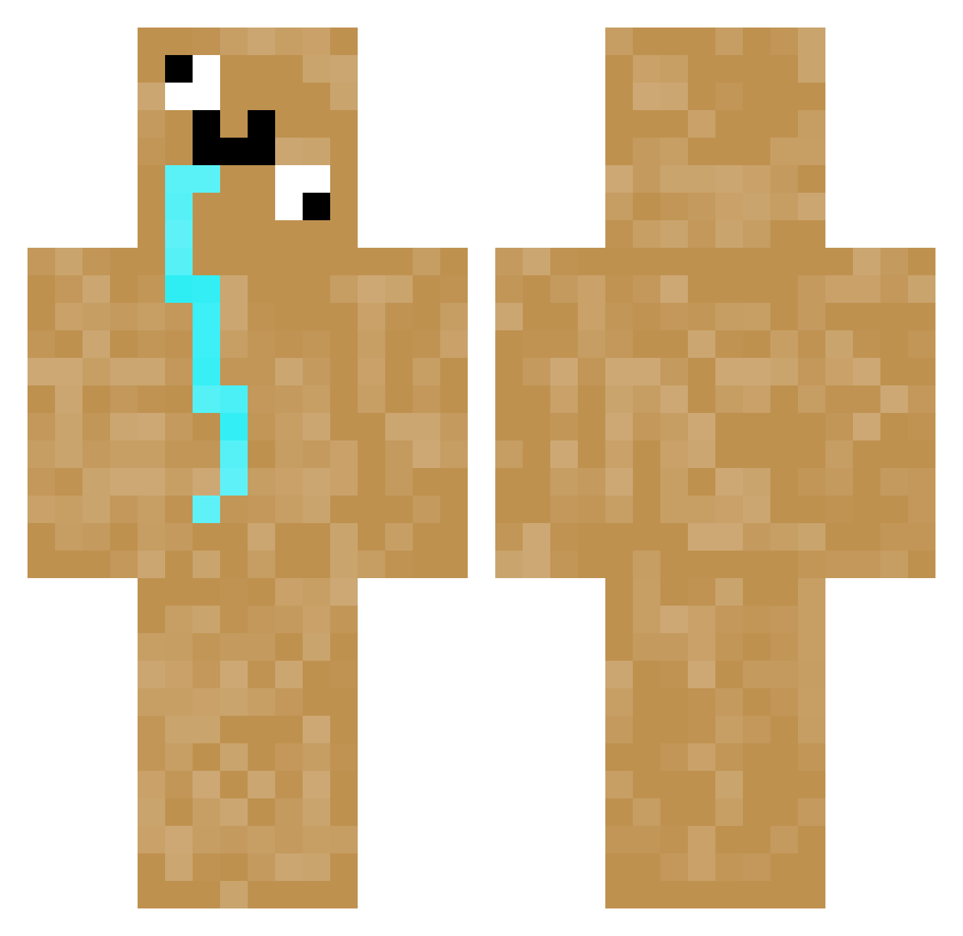 waains Minecraft skin, front and back view