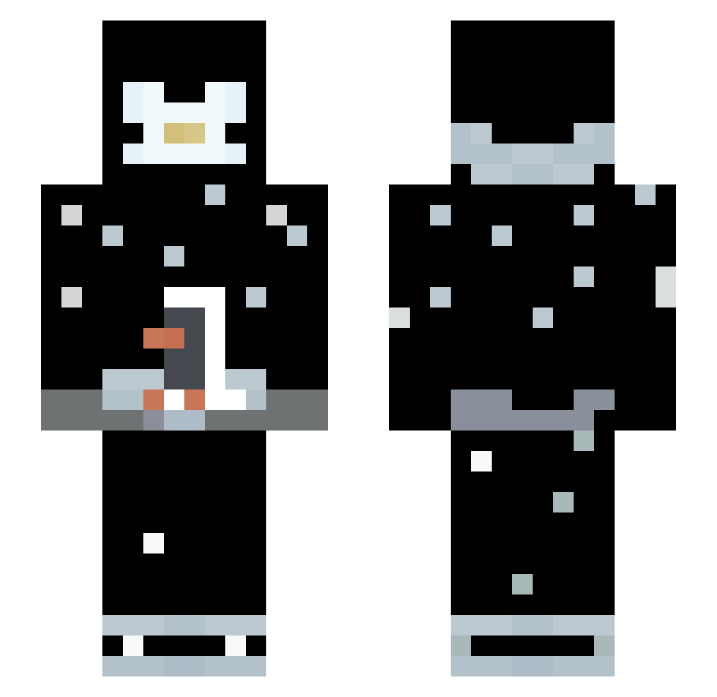 Pinguin_ Minecraft skin, front and back view