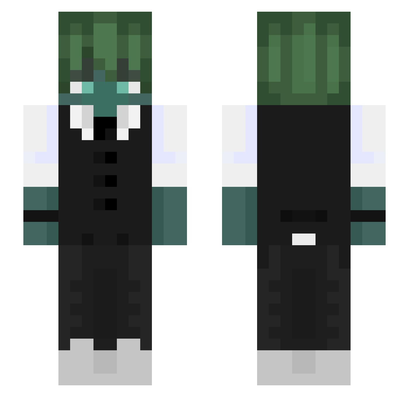 Salterino Minecraft skin, front and back view