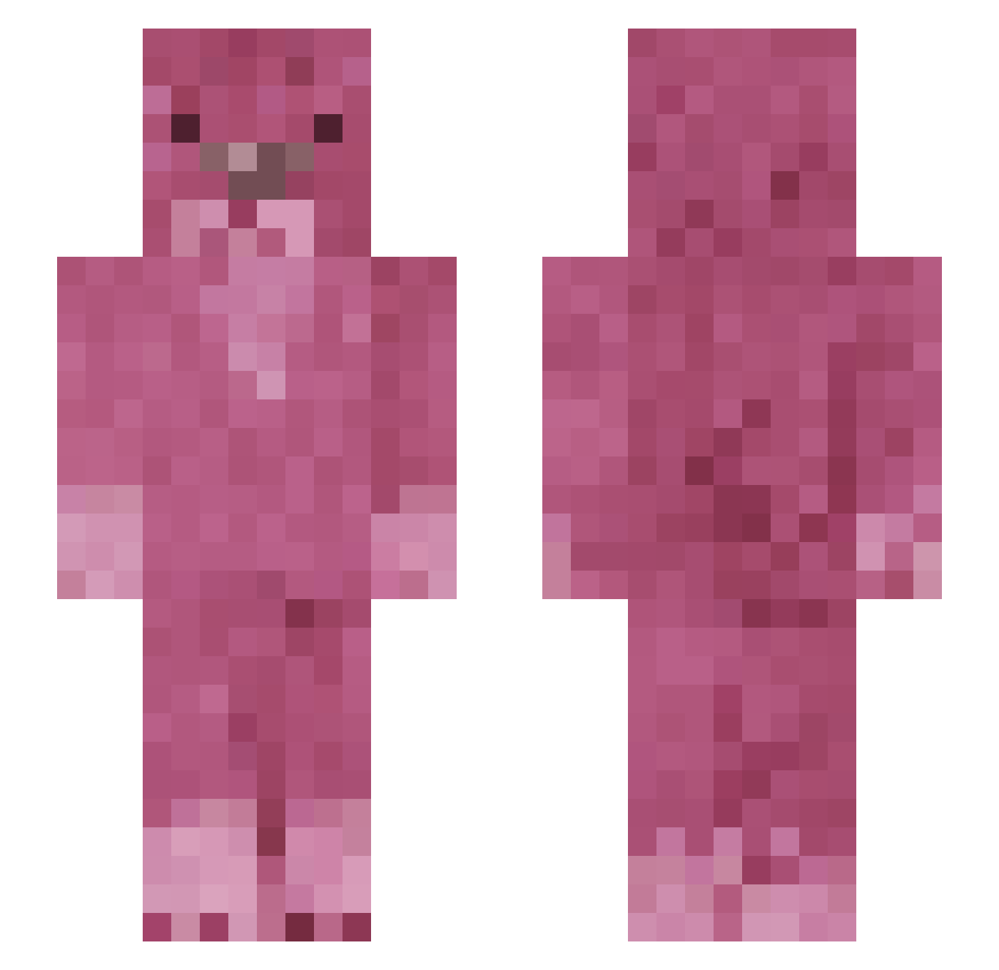 nikisnej192 Minecraft skin, front and back view