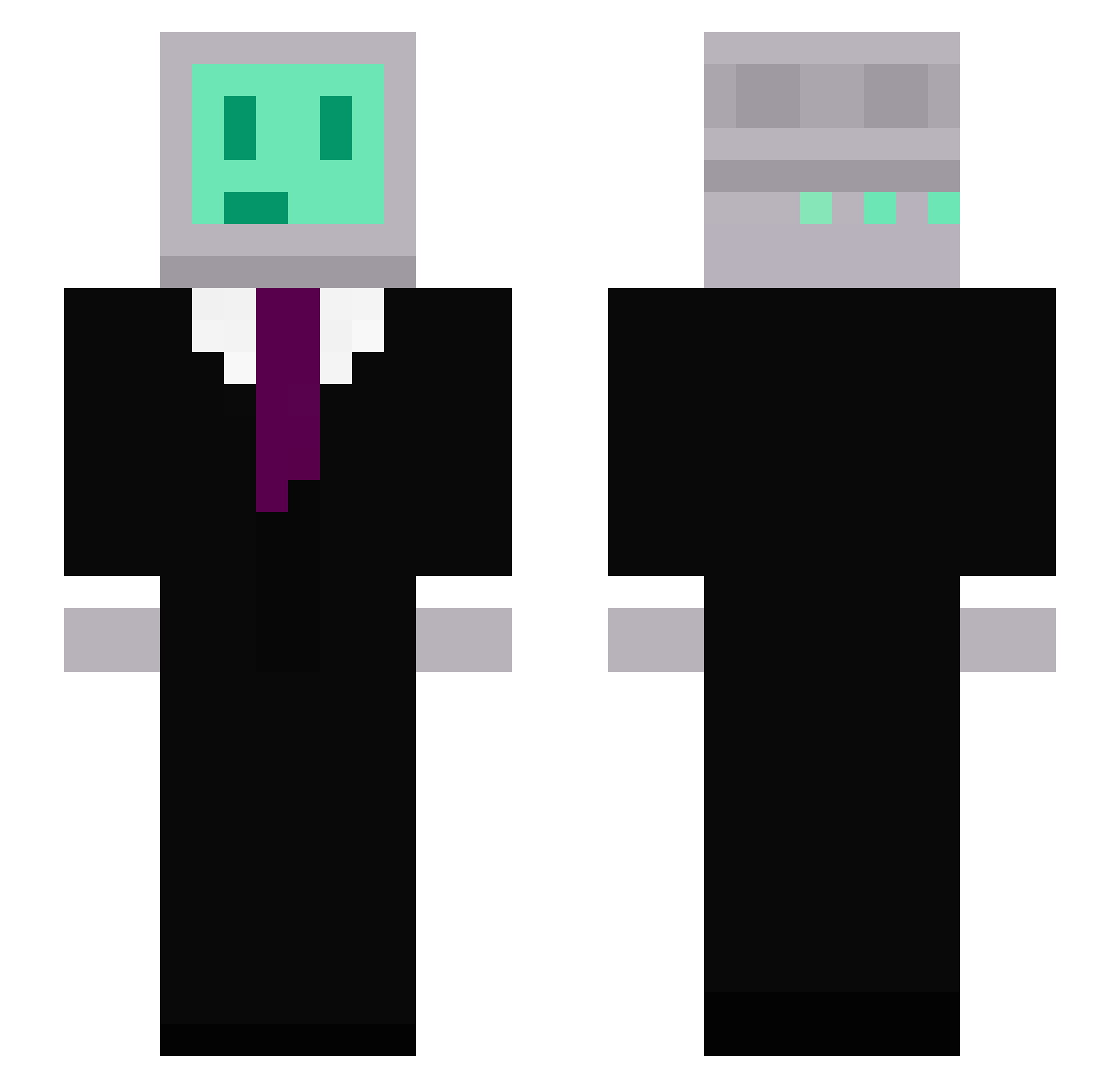 finishtyping Minecraft skin, front and back view