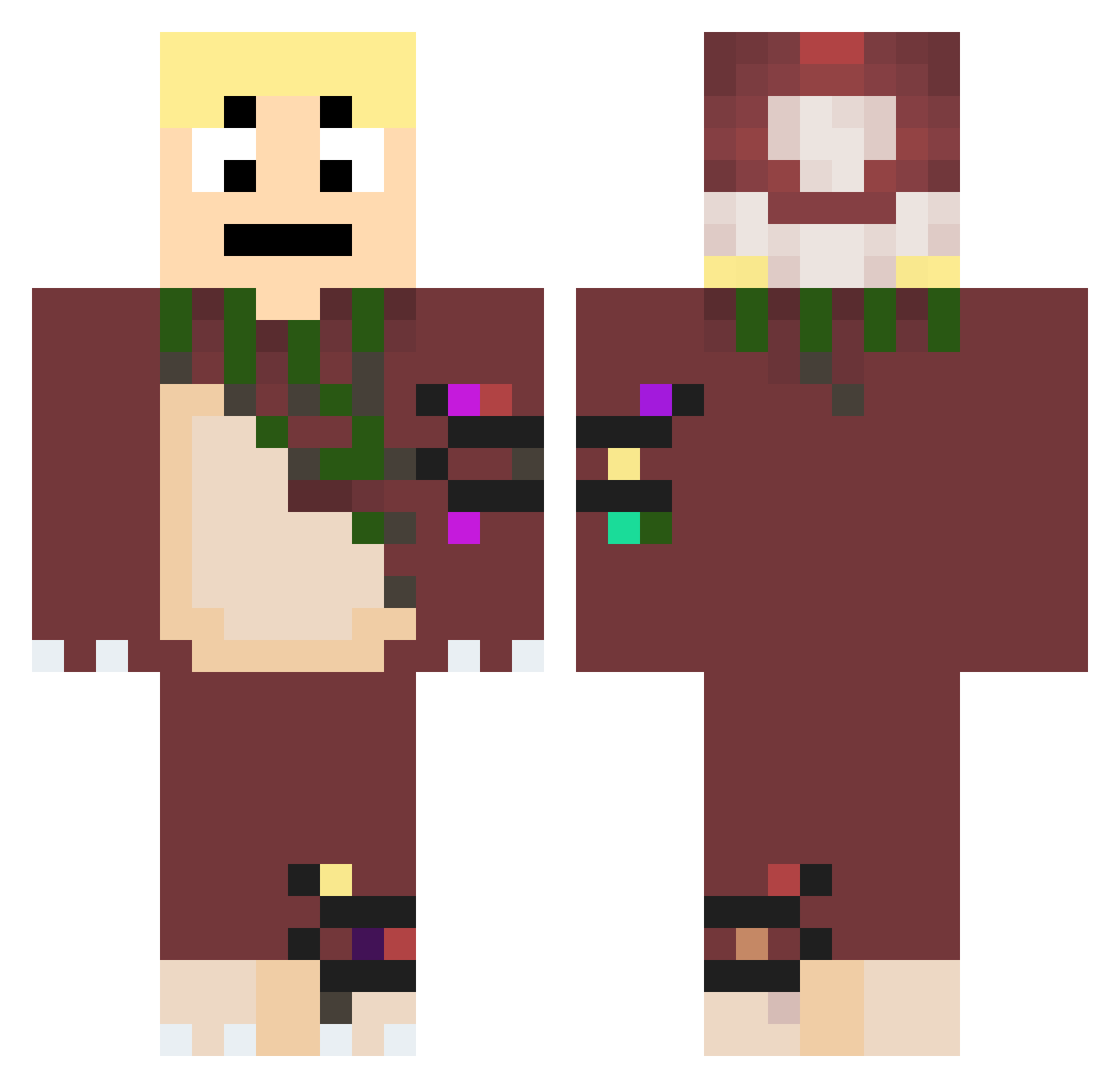 Vilaiine Minecraft skin, front and back view