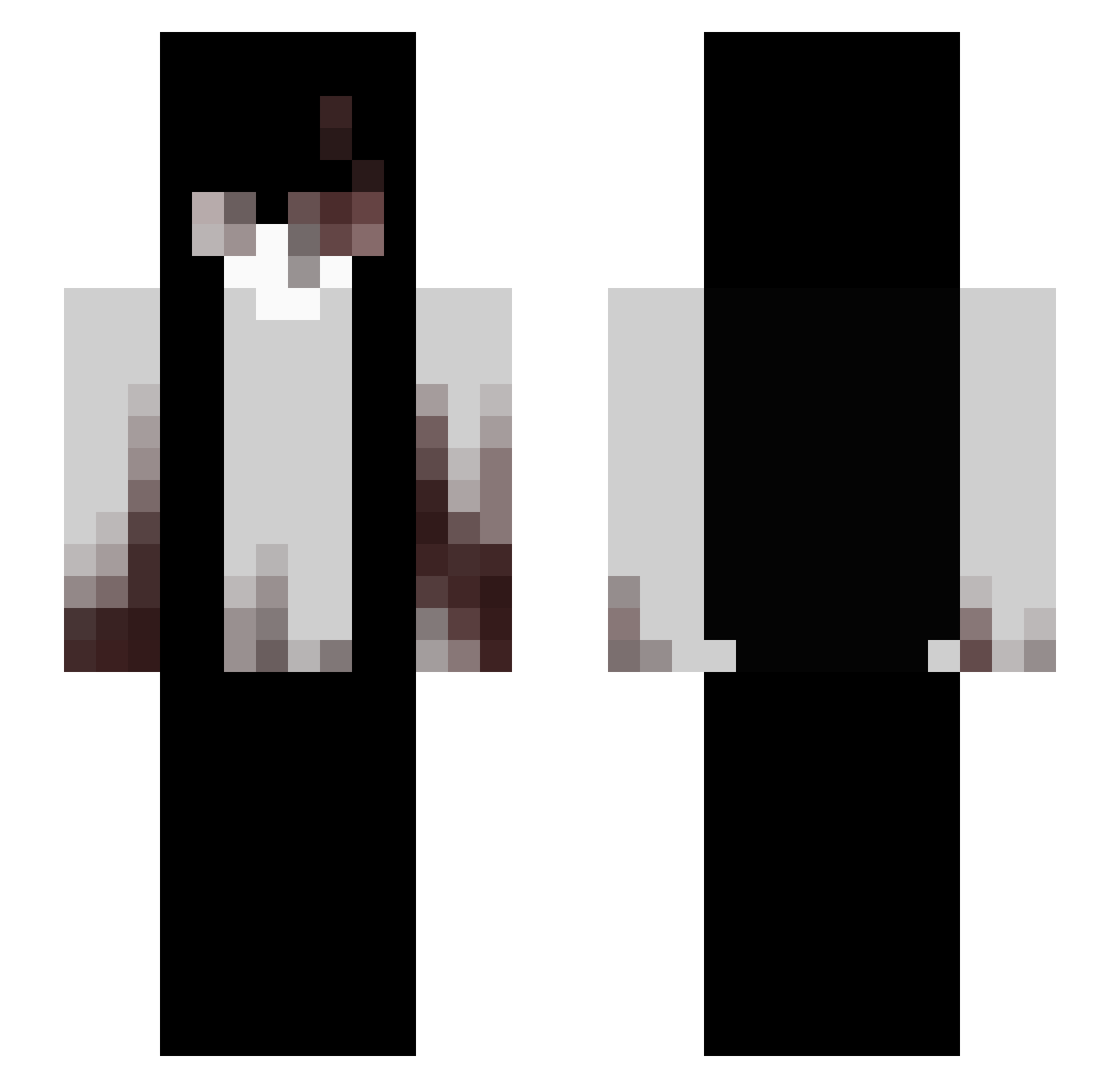 Trisaa Minecraft skin, front and back view