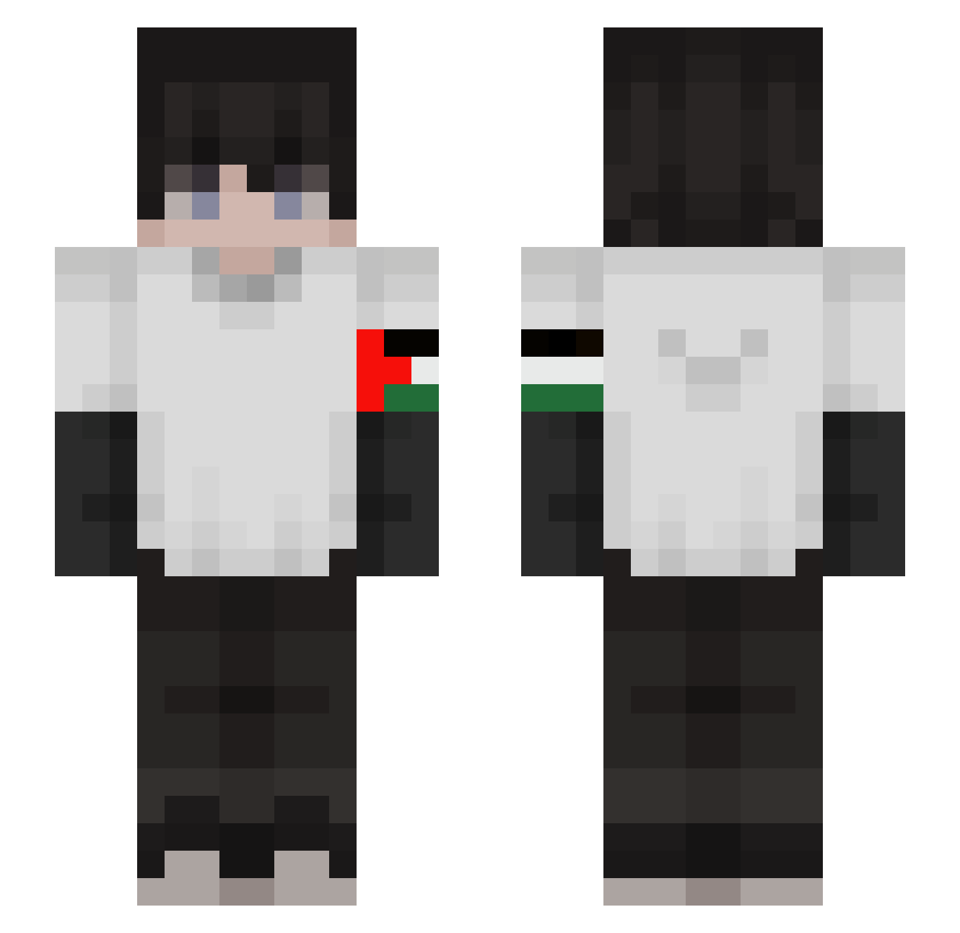 Google_lens Minecraft skin, front and back view