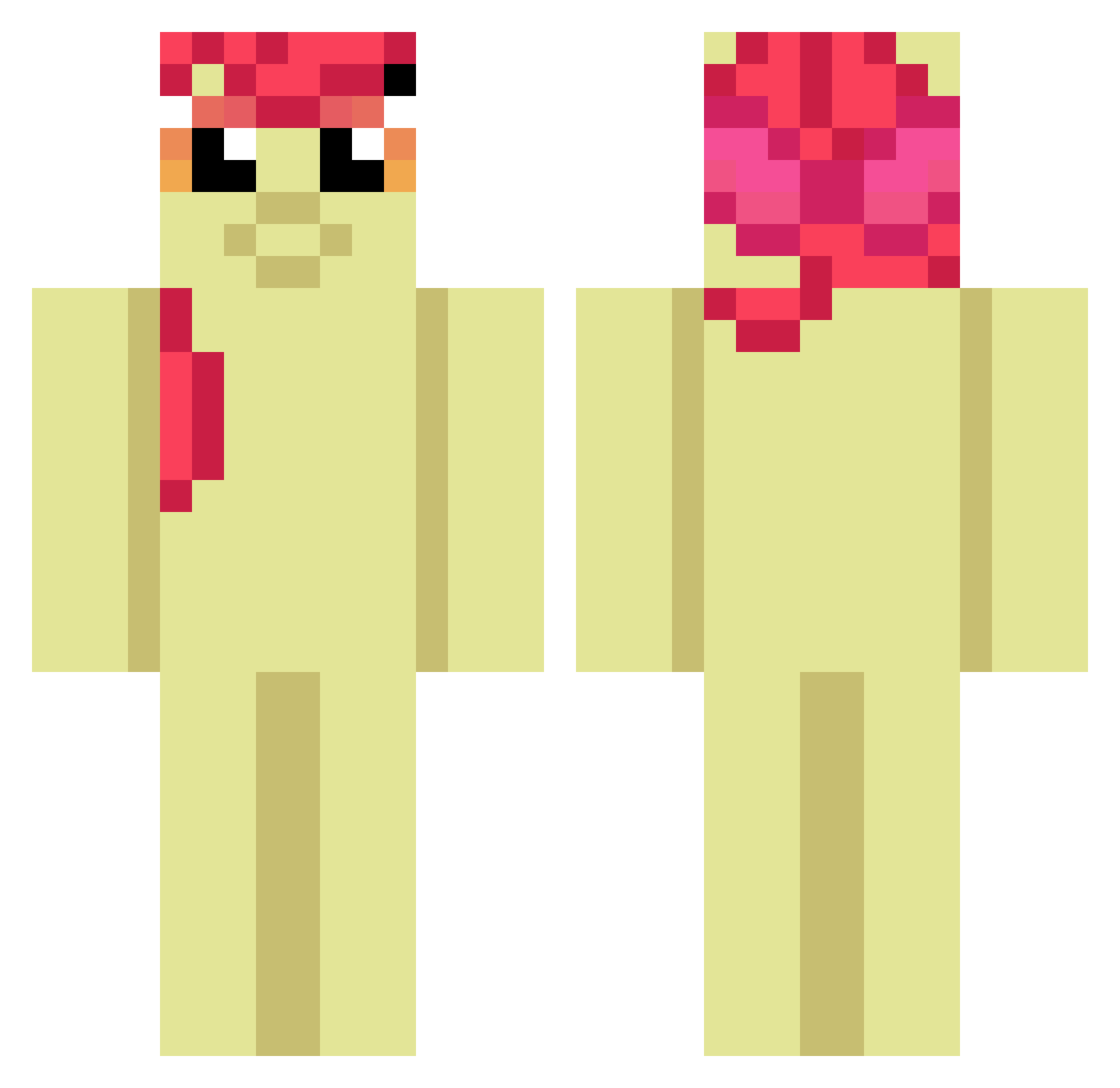 SenatorCake Minecraft skin, front and back view