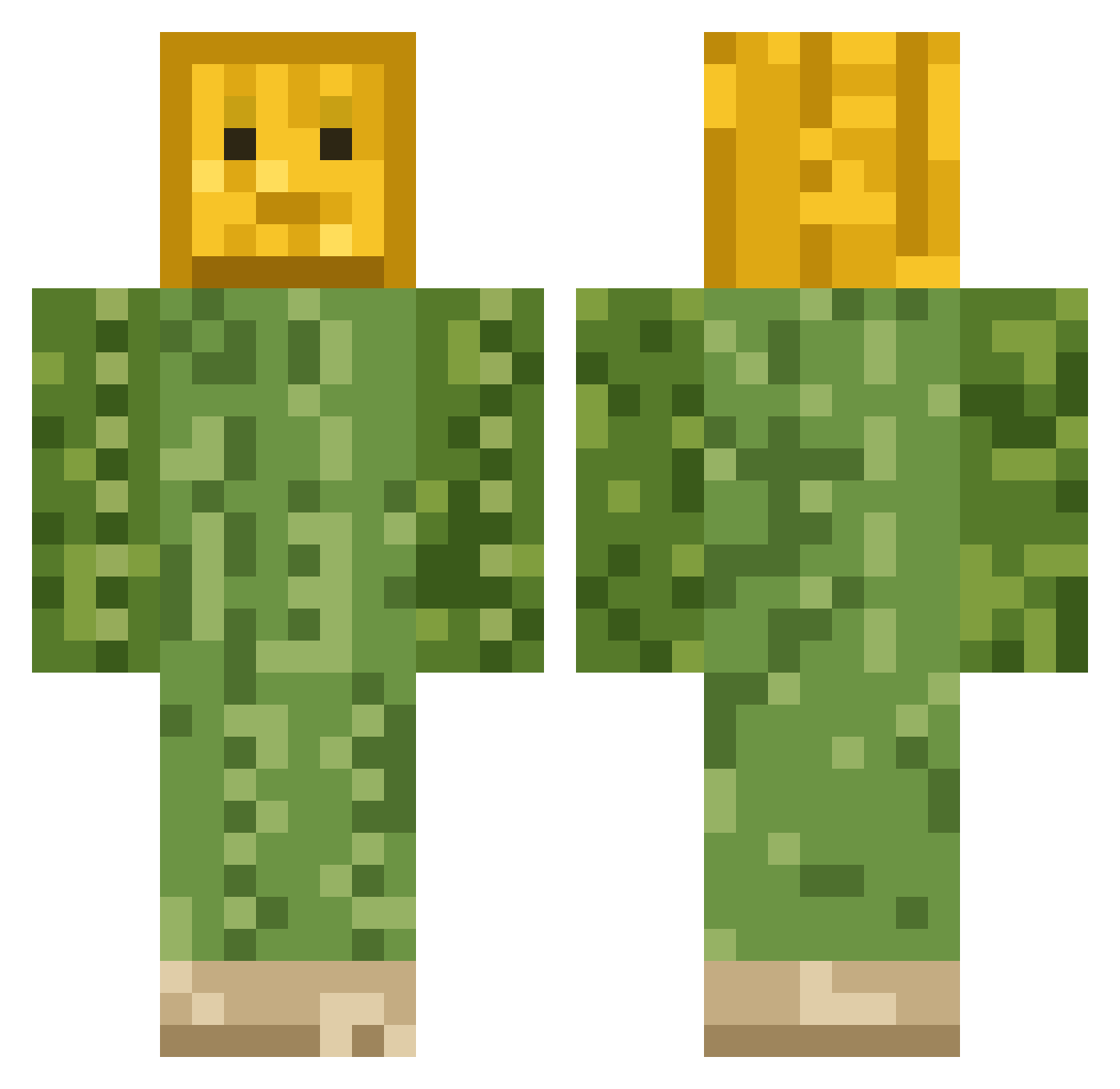 Ptirikou Minecraft skin, front and back view